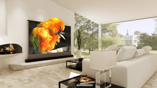 How to solve the small depression on the screen because there is a foreign body on the screen shaft? - VIVIDSTORM