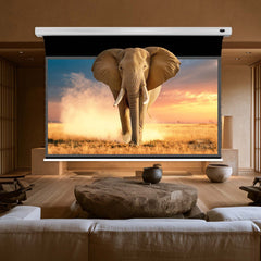 VIVIDSTORM Slimline SilicaFlex Motorized Fresnel Long Throw ALR Projector Screen Pre-order