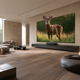 BUNDLE HISENSE PX4 PRO Triple Laser Projector & VIVIDSTORM CineVision Pro Fixed Frame UST ALR Projector Screen