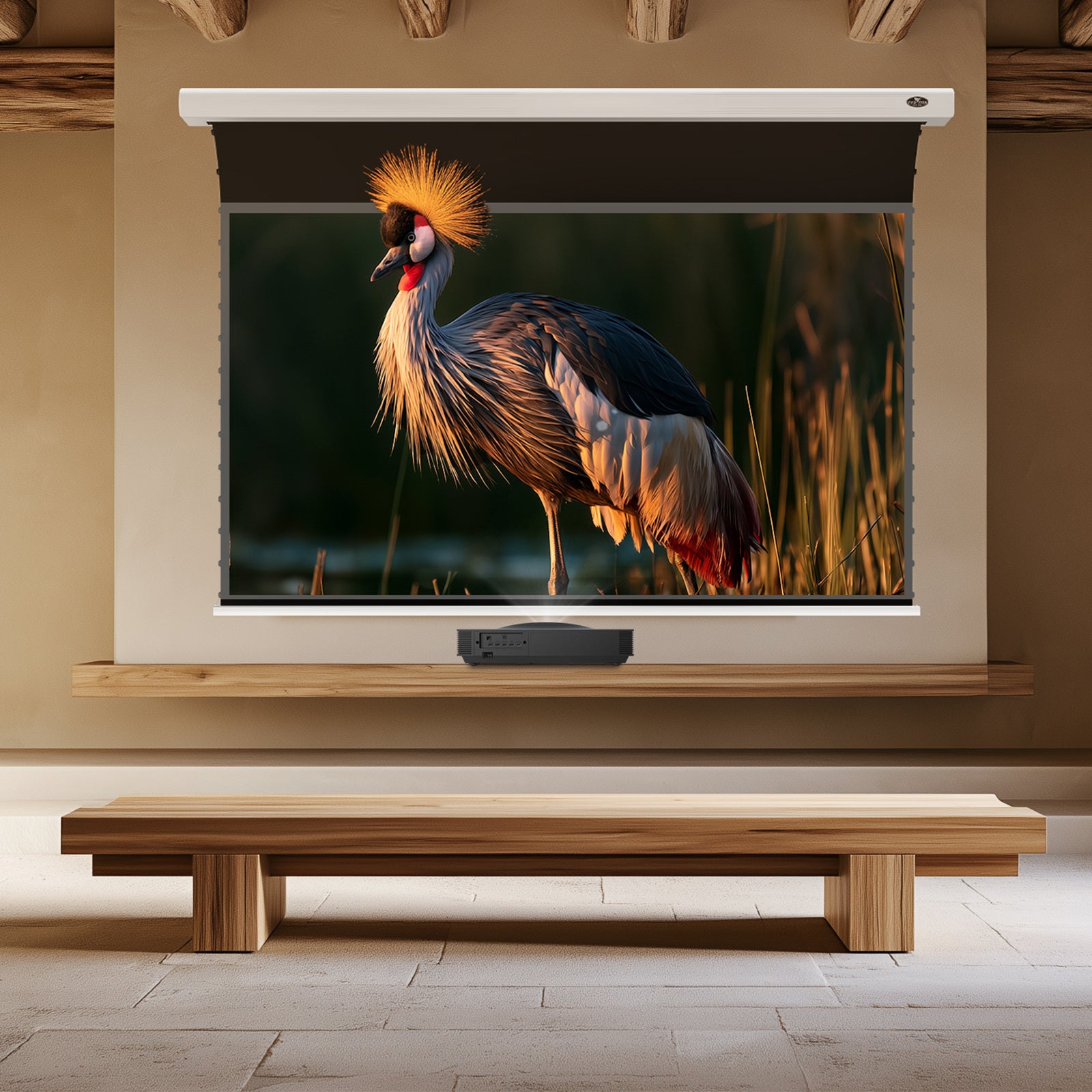 BUNDLE HISENSE PX4 PRO Triple Laser Projector & VIVIDSTORM Lite Hyper Slimline Motorized Tension Lenticular ALR Projector Screen