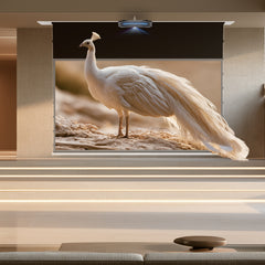 BUNDLE Awol Vision Aetherion Pro / Max RGB Laser UST Projector & VIVIDSTORM Lite Hyper PHANTOM Recessed In-Ceiling Motorized Tension Lenticular ALR Projector Screen