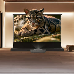 BUNDLE HISENSE PX4 PRO Triple Laser Projector & VIVIDSTORM S Lite Hyper Motorized Tension Floor Rising Lenticular ALR Projector Screen