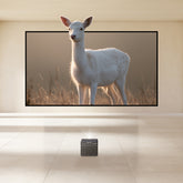 Bundle Formovie X5 PRO Projector & VIVIDSTORM ALR Fixed Frame Obsidian Long Throw Projector screen