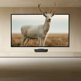BUNDLE Hisense PX4 PRO UST Projector & VIVIDSTORM Lite Hyper Fixed Frame Lenticular ALR Projector Screen