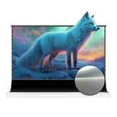 Écran de projection lenticulaire ALR hyper motorisé VIVIDSTORM S Lite