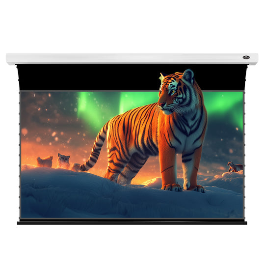 Écran de projection lenticulaire motorisé à tension VIVIDSTORM Lite 150