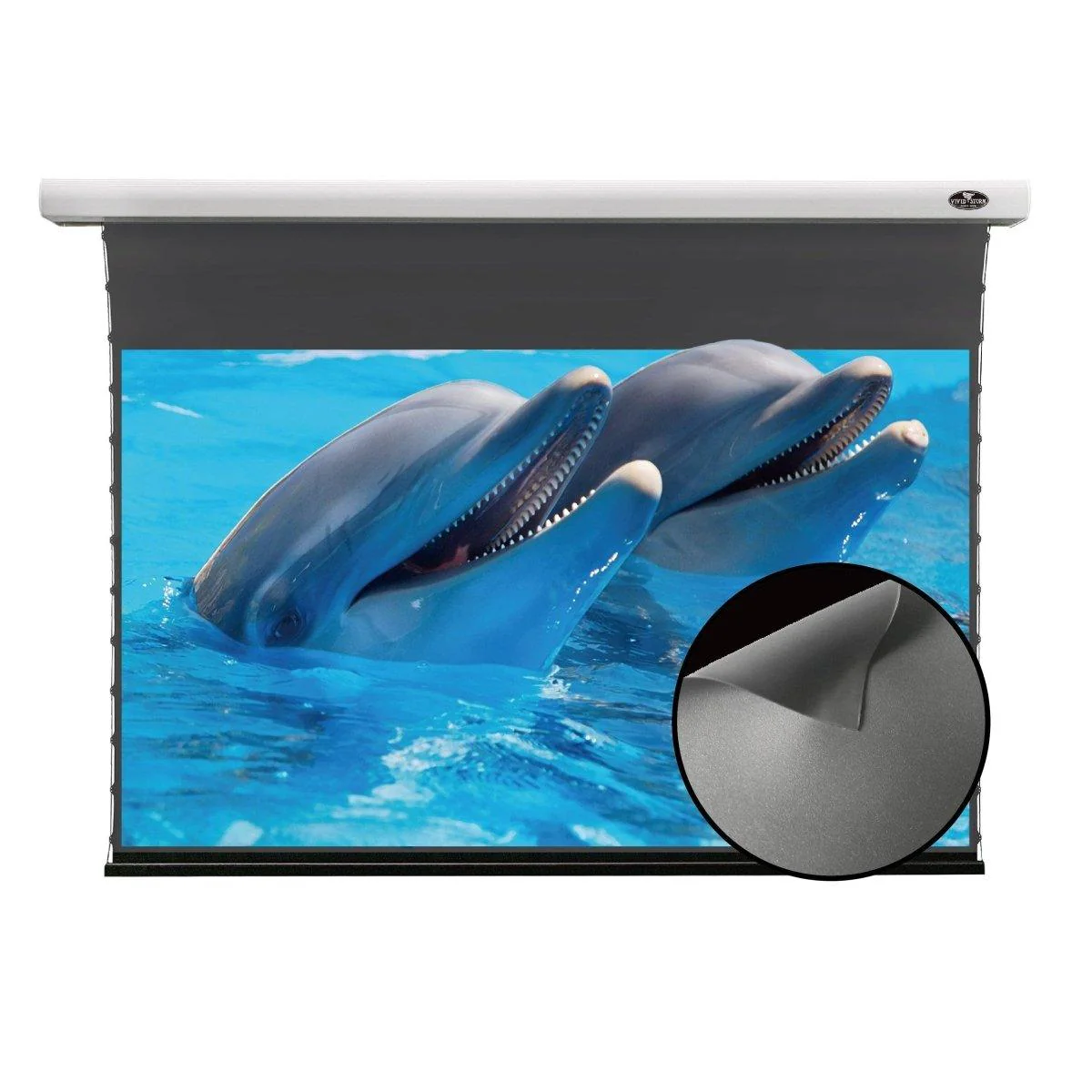 Duty-Free Clearance 30%-50% OFF |Ships from Toronto Warehouse |  VIVIDSTORM Slimline Motorized Tension ALR Projector screen – Classic Version