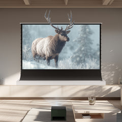 BUNDLE Valerion VisionMaster Pro 2 Projector & VIVIDSTORM S White Cinema Motorized Tension Floor Rising Projector Screen