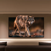 VIVIDSTORM White Cinema Fixed Frame Projector Screen