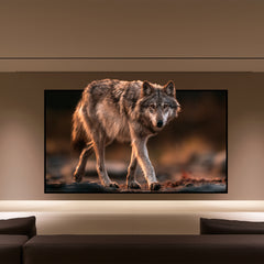 VIVIDSTORM White Cinema Fixed Frame Projector Screen