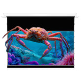 VIVIDSTORM PHANTOM Recessed In-Ceiling Silux Pro Motorized Fresnel UST ALR Projector Screen Pre-order