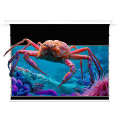 VIVIDSTORM PHANTOM Recessed In-Ceiling Silux Pro Motorized Fresnel UST ALR Projector Screen Pre-order