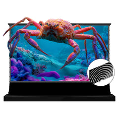 VIVIDSTORM Silux Pro Motorized Floor Rising Fresnel UST ALR Projector Screen Pre-order