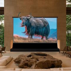 VIVIDSTORM Silux Pro Motorized Floor Rising Fresnel UST ALR Projector Screen Pre-order