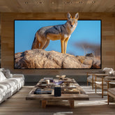 BUNDLE Anker Nebula X1 Projector & VIVIDSTORM Fusion ALR Fixed Frame Enhanced Long Throw ALR Projector Screen Pre-Order