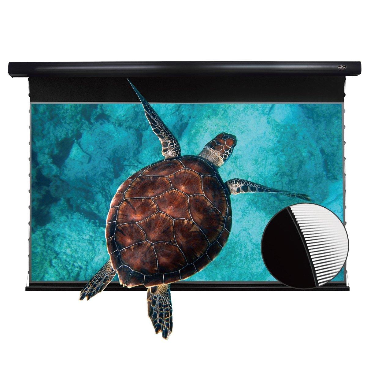Duty-Free Clearance 30%-50% OFF |Ships from Toronto Warehouse | VIVIDSTORM Slimline Motorized Tension UST ALR Projector screen – Classic Version | Canada Exclusive
