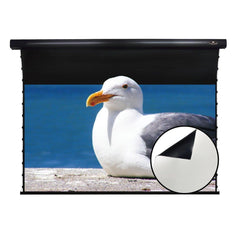 Duty-Free Clearance 30%-50% OFF |Ships from Sydney Warehouse | VIVIDSTORM Slimline Motorized Tension Projector screen – Classic Version