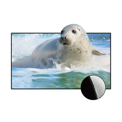 VIVIDSTORM CineVision Pro Fixed Frame UST ALR Projector Screen - VIVIDSTORM