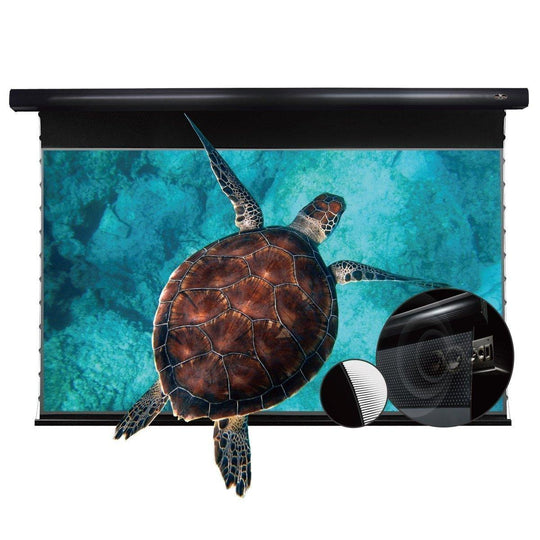 VIVIDSTORM PRO P Slimline Motorized Tension UST ALR Projector screen - VIVIDSTORM