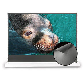 VIVID STORM SINCE 2004 Projection screen S ALR Electric Tension Floor Screen With Obsidian Long Throw Ambient Light Rejecting 【For Normal Projector】
