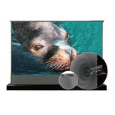 VIVIDSTORM S ALR P Motorized Tension Floor Rising Obsidian Long Throw ALR Perforated Projector screen - VIVIDSTORM