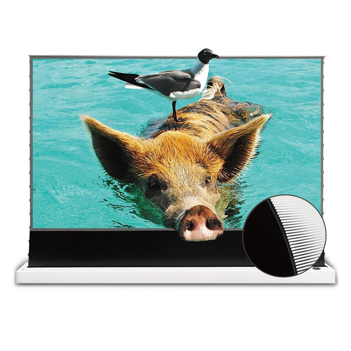 VIVIDSTORM S PRO Motorized Tension Floor Rising UST ALR Projector Screen - VIVIDSTORM