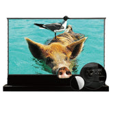 VIVIDSTORM S PRO P Motorized Tension Floor Rising UST ALR Perforated Projector screen - VIVIDSTORM