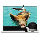 VIVIDSTORM S PRO P Motorized Tension Floor Rising UST ALR Perforated Projector screen - VIVIDSTORM