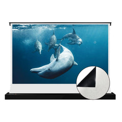 VIVIDSTORM S White Cinema Motorized Tension Floor Rising Projector screen - VIVIDSTORM