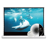 VIVIDSTORM S White Cinema Perforated Motorized Tension Floor Rising Projector screen - VIVIDSTORM