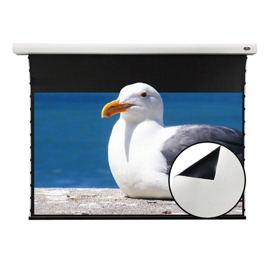 VIVIDSTORM White Cinema Slimline Motorized Tension Projector screen - VIVIDSTORM