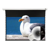 VIVIDSTORM White Cinema Perforated Slimline Motorized Tension Projector screen - VIVIDSTORM