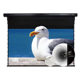 VIVIDSTORM White Cinema Perforated Slimline Motorized Tension Projector screen - VIVIDSTORM