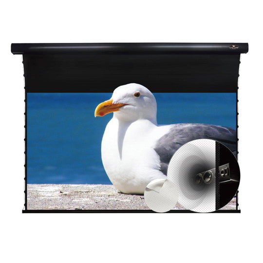 VIVIDSTORM White Cinema Perforated Slimline Motorized Tension Projector screen - VIVIDSTORM