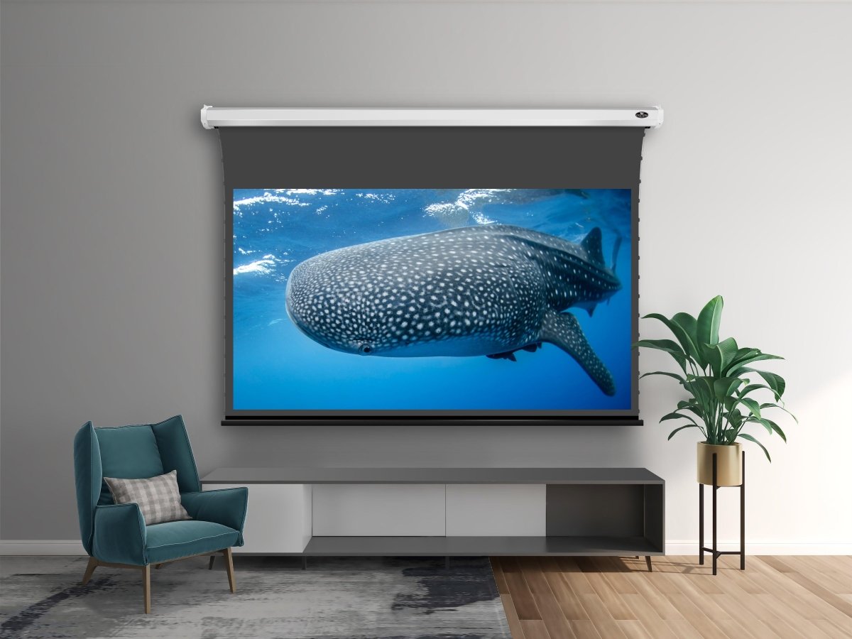 Which is better, soft screen or screen of ALR projection screen? What ...