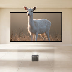 Bundle Formovie X5 PRO Projector & VIVIDSTORM ALR Fixed Frame Obsidian Long Throw Projector screen