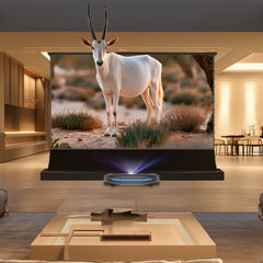 BUNDLE Awol Vision Aetherion PRO / MAX UST Projector & VIVIDSTORM S PRO Motorized Tension Floor Rising UST ALR Projector Screen