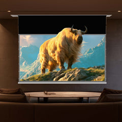 VIVIDSTORM PHANTOM Recessed In-Ceiling Silux Pro Motorized Fresnel UST ALR Projector Screen Pre-order