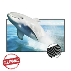 In Stock & Fast EU Shipping-VIVIDSTORM CineVision Pro Fixed Frame Fresnel UST ALR Projector Screen