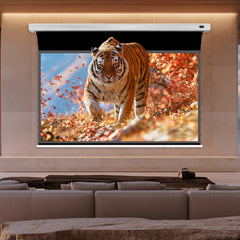 VIVIDSTORM Slimline Silux Pro Motorized Fresnel UST ALR Projector Screen Pre-order