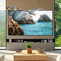 BUNDLE Hisense PL1 Projector & VIVIDSTORM CineVision Pro Fixed Frame Fresnel UST ALR Projector Screen - VIVIDSTORM