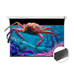 VIVIDSTORM Slimline Silux Pro Motorized Fresnel UST ALR Projector Screen Pre-order