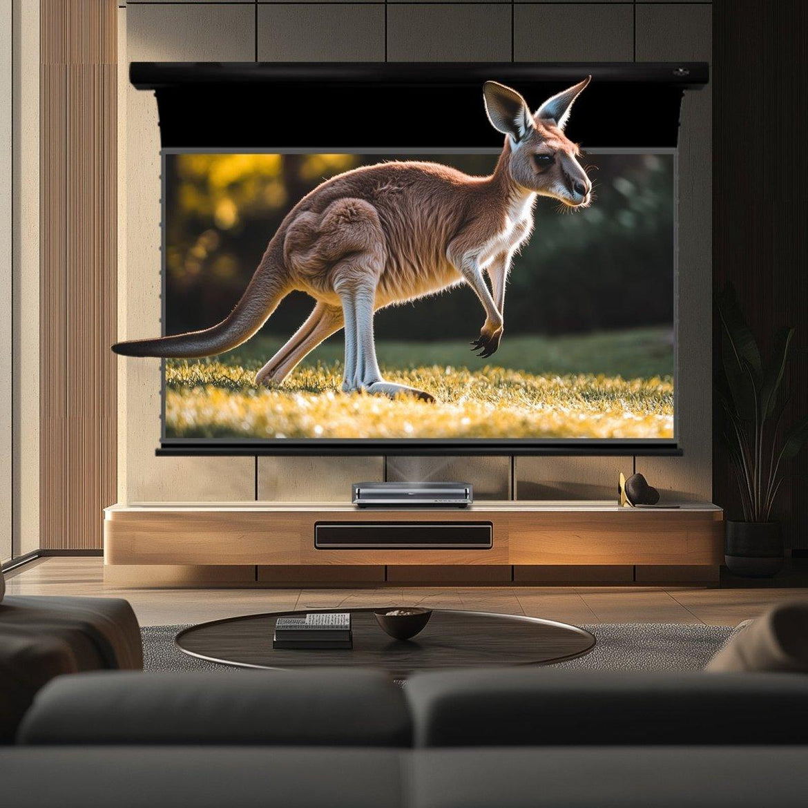 BUNDLE HISENSE PX3 PRO TriChroma Laser Cinema Projector & VIVIDSTORM PRO/PRO A/PRO P/PRO PA Slimline Motorized Tension UST ALR Projector Scr