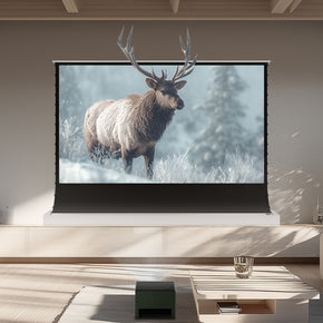 BUNDLE Valerion VisionMaster Pro 2 Projector & VIVIDSTORM S White Cinema Motorized Tension Floor Rising Projector Screen