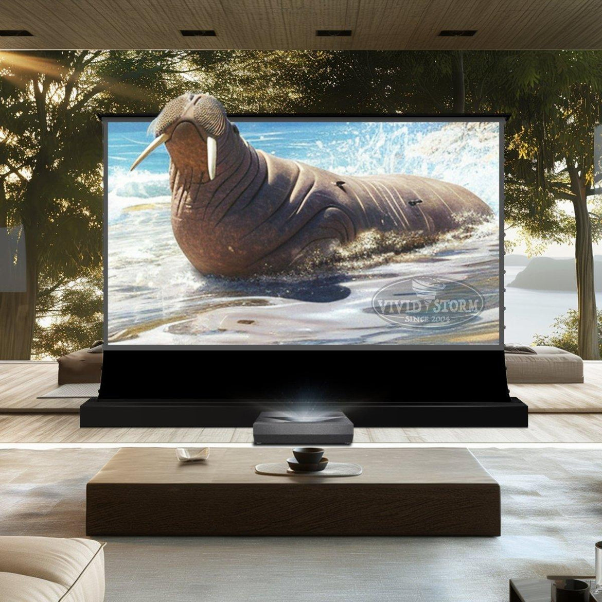 Ella BUNDLE Optoma CinemaX D2 4K HDR UST 3D Laser Projector &VIVIDSTORM S PRO Electric Tension Floor Screen