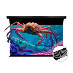 VIVIDSTORM Slimline Silux Pro Motorized Fresnel UST ALR Projector Screen Pre-order