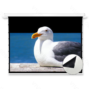 VIVIDSTORM PHANTOM Recessed In-Ceiling Motorized Tension White Cinema Projector screen - VIVIDSTORM