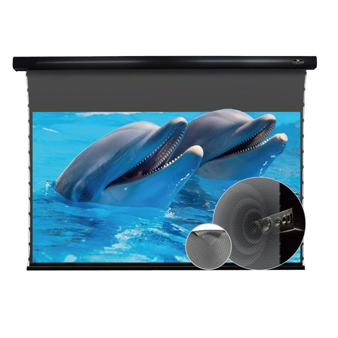 VIVIDSTORM Drop Down Screen-Match For Standard Throw Projector