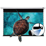 VIVID STORM SINCE 2004 Projection screen PRO A Slimline Tension Screen With Ultra short Throw Ambient Light Rejecting 【For UST ALR Laser Projector Ceiling Mount Suspended】