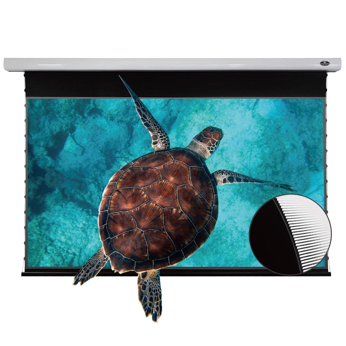 VIVIDSTORM PRO Slimline Motorized Tension UST ALR Projector screen - VIVIDSTORM